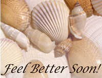 Feel better soon, sea shells card