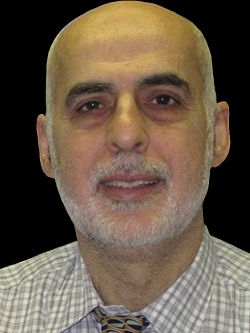 Abdulmalek Sabbagh, M.D.