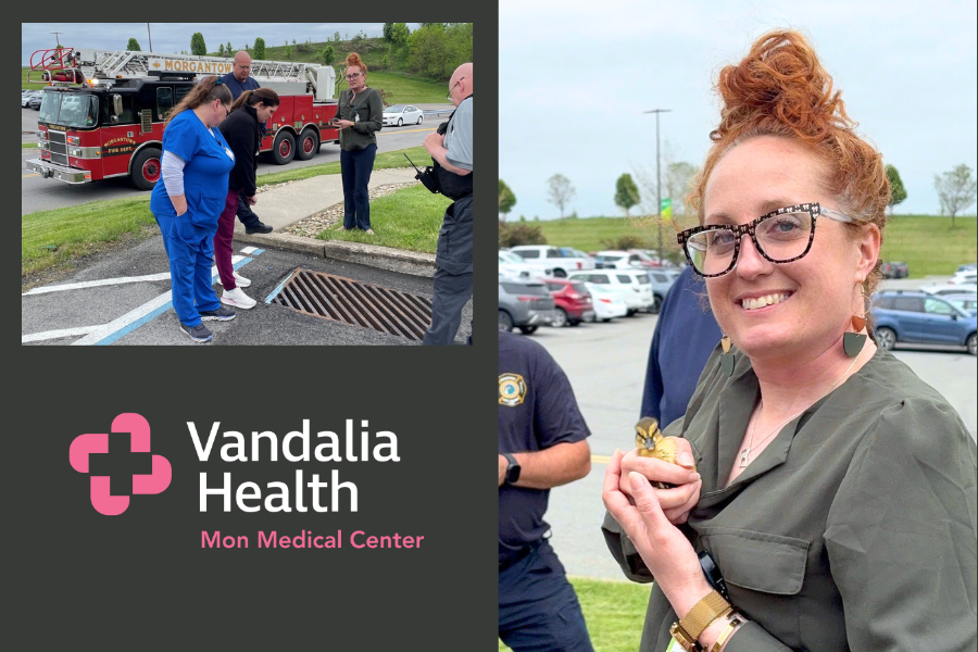 All hands (and wings) on deck: Ducklings rescued through teamwork at ...