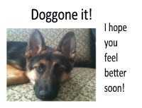 Doggoneit Feel Better Soon