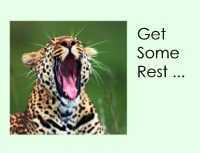 Get some rest leopard