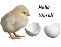 Chick hello world card